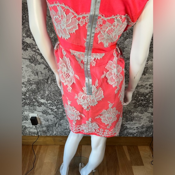 Authentic Vintage Erdem Lace Overlay Dress - Picture 7 of 12